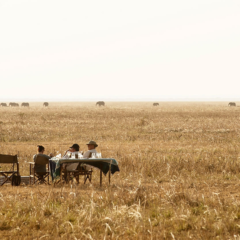 Tanzania Safari Getaway - Chada Katavi Luxury Bush Camp in Tanzania - African Big 5 Game Viewing