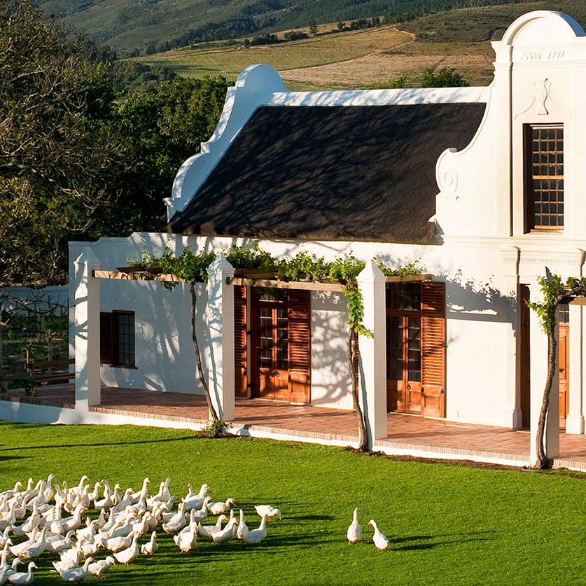 South Africa Gourmet Culinary Tour - South Africa - Western Cape