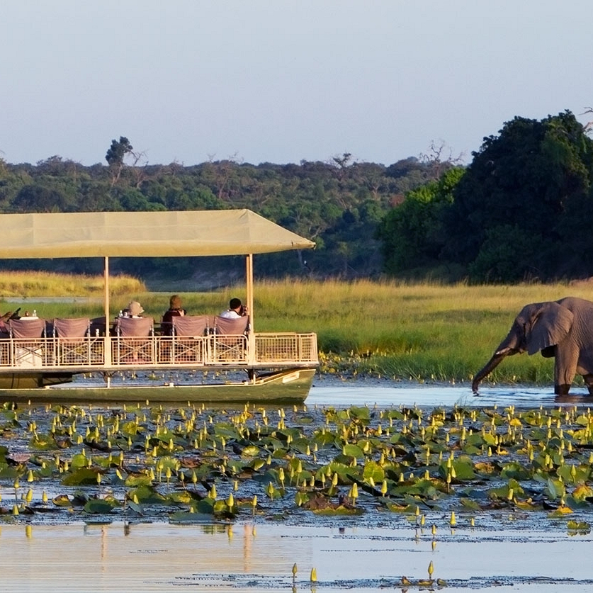 Luxury Botswana Safari - Chobe Game Lodge