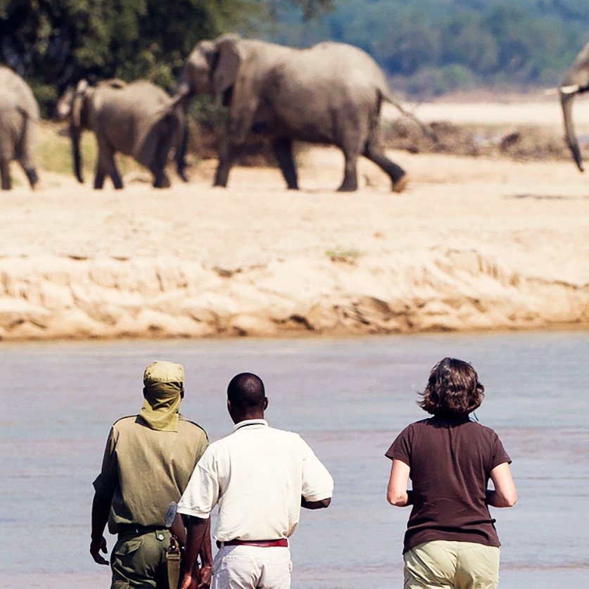 Zambia Safari - Remote Luxury Package - Kapamba Bushcamp