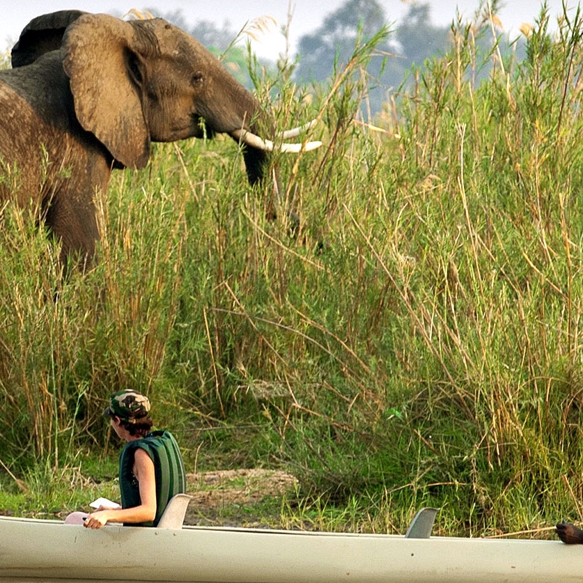 Zambia Safari Adventure - Baines River Camp