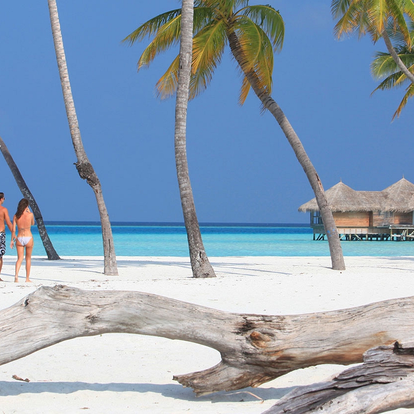 Maldives Low Season Getaway: Gili Lankanfushi