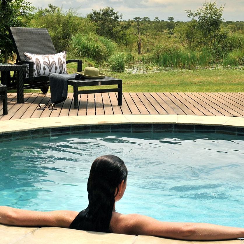 Bucket List Safari: Chobe, Okavango, and Kruger