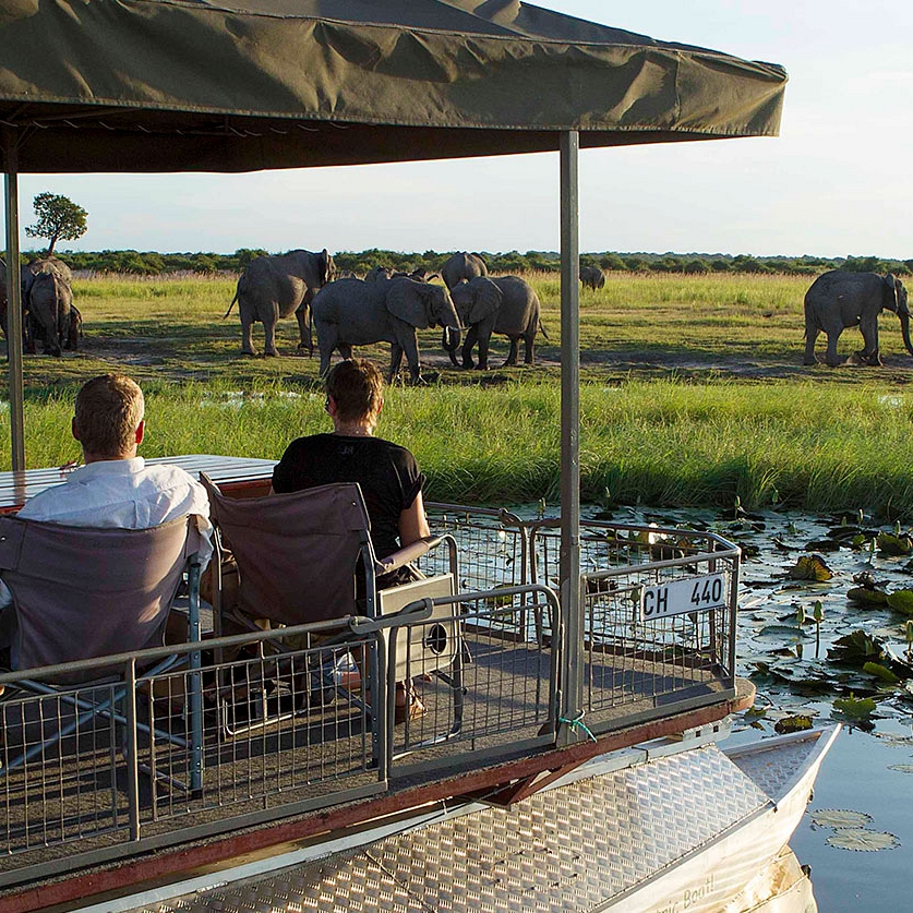 Bucket List Botswana Safari: Chobe and Okavango Delta - Elephant Sighting on Chobe River Safari
