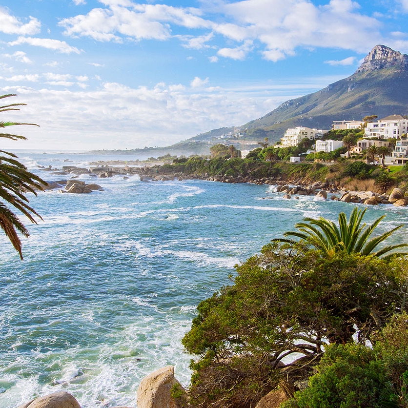 South Africa: Luxury Safari and Cape Town Package - Private Luxury Touring in Cape Town