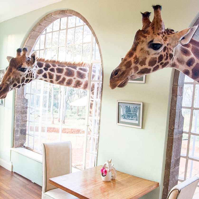 Classic Kenya Luxury Safari Package - Giraffe Manor Kenya