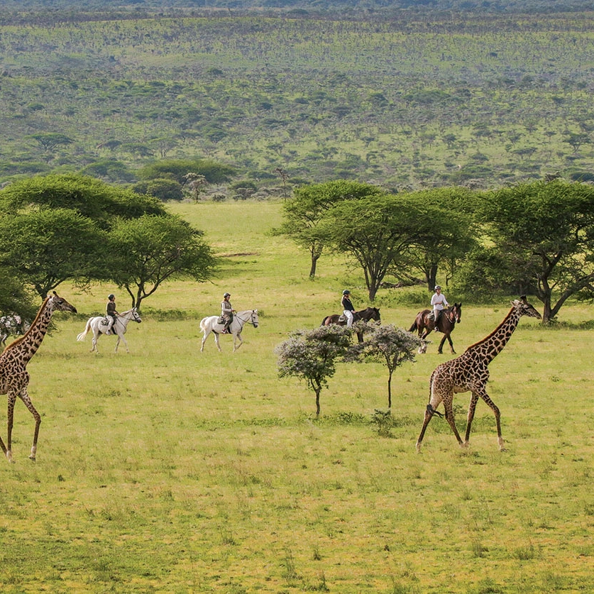 Luxury Kenya Vacation Packages - Horseback Riding Safari at Ol Donyo Lodge