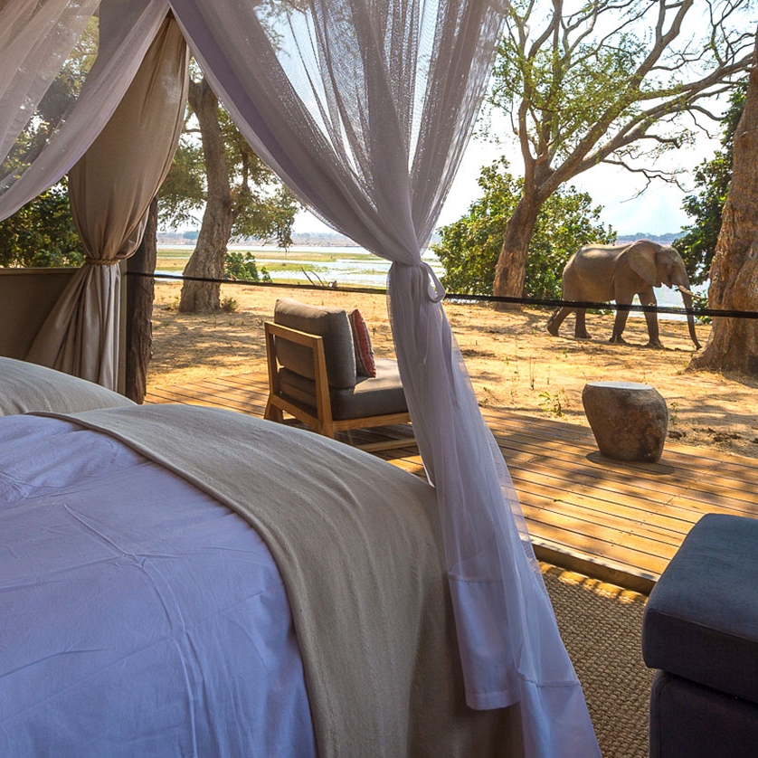 Classic Zimbabwe Safari Package - Little Ruckomechi Camp, Mana Pools National Park, See Wildlife from Your Tent