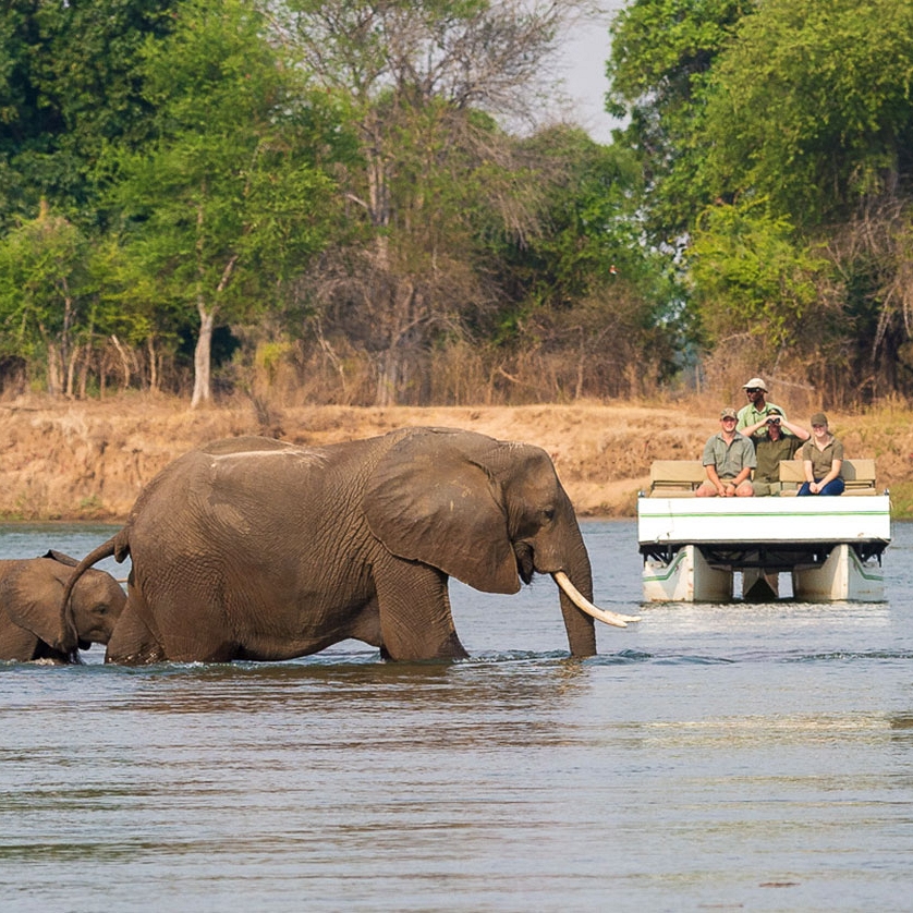 Classic Zimbabwe Safari Package - Little Ruckomechi Camp, Mana Pools National Park, Zambezi River Wildlife Cruise