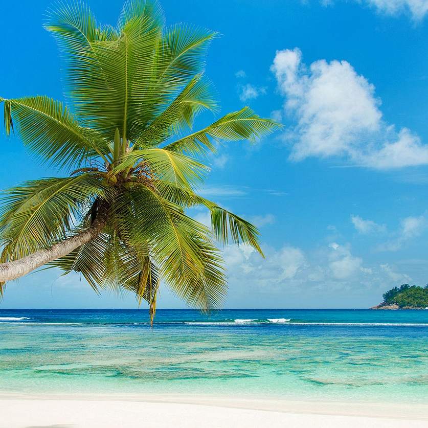 Seychelles Beach - Male Island