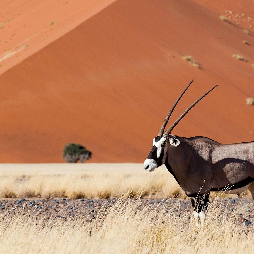 Sossusvlei Namibia dunes - Little Kulala Camp