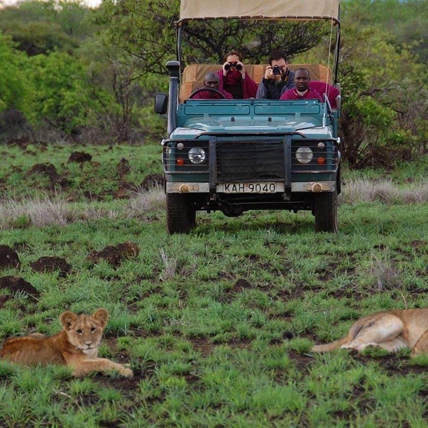 Kenya Big 5 Wildlife Safari - Lions on Game Drive - Campi ya Kanzi