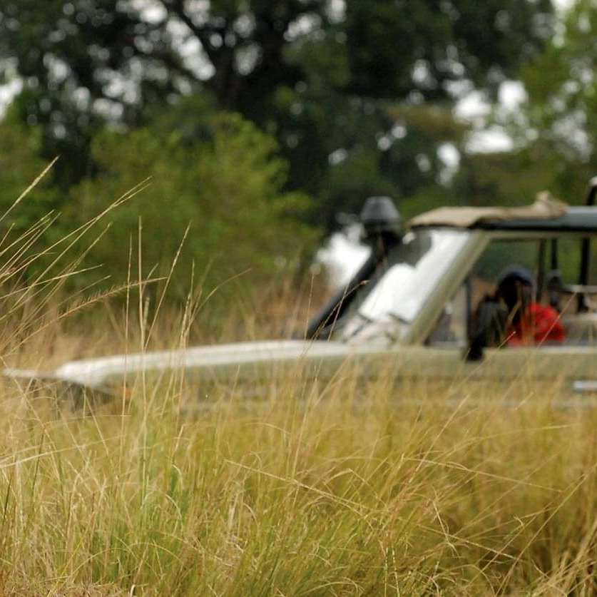 Masai Mara Game Drive - Leopard - Alex Walker's Serian Kenya - Masai Mara Safari Packages