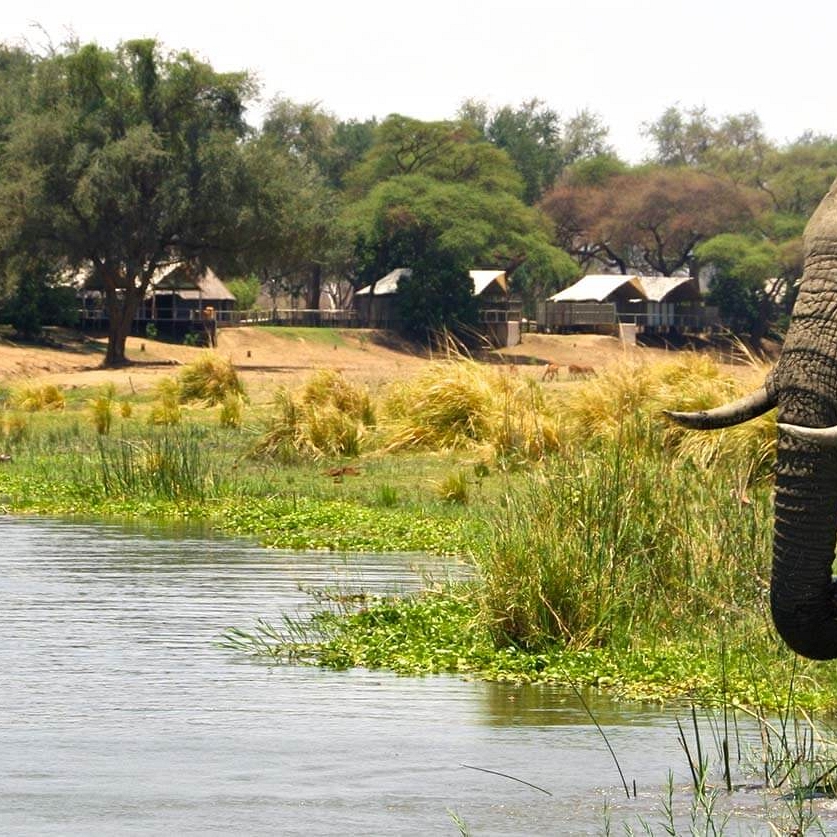 Elephant Drinking at Anabezi Luxury Tented Camp - Wildlife Safari and Beach: Zambia and Lake Malawi Luxury Tour