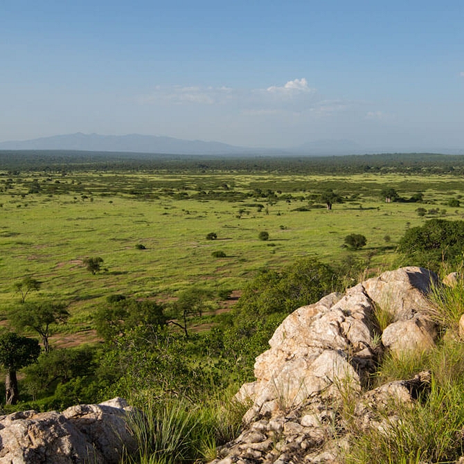 Views of the Wilderness - Tarangire Treetops Lodge - Tanzania Safari Honeymoon