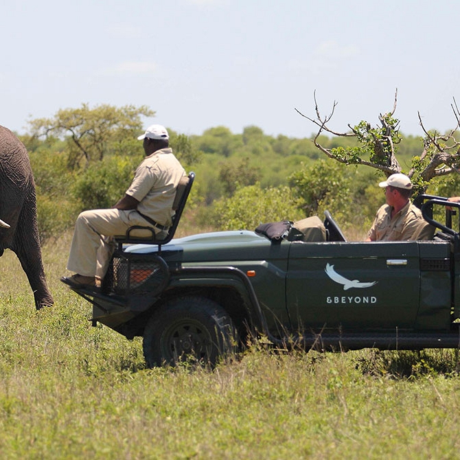 Big 5 Wildlife Safari - Luxury South African Safari: andBeyond Phinda and Sabi Sands