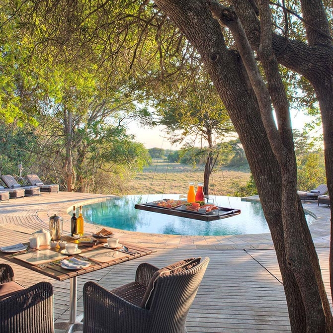 Pool at andBeyond Phinda Forest Lodge - Luxury South African Safari: andBeyond Phinda and Sabi Sands