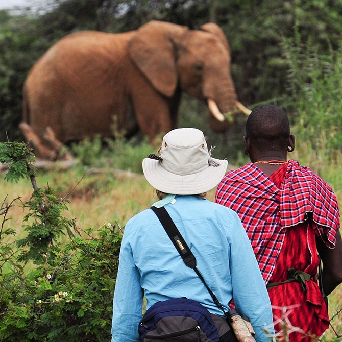 Elephant Spotted on Karisia Walking Safaris - Kenya Walking Safari: A Walk in the Wild Travel Package