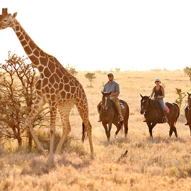 Horseback Safari in Kenya - Lewa Wilderness - East African Safari: Kenya and Tanzania Luxury Tour