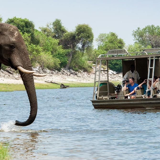 Elephant in the Chobe River - Excursion from Zambezi Queen River Cruise