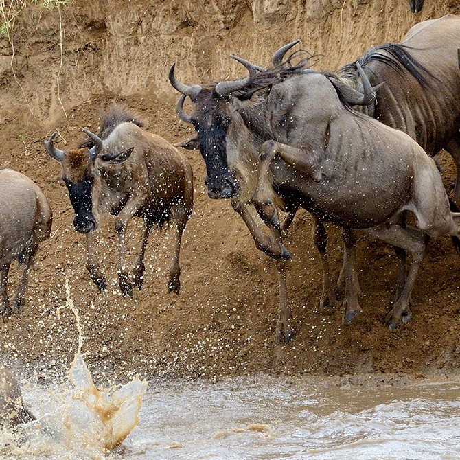 Great Migration Safari in the Serengeti, Tanzania