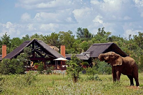 South Africa Family Vacation - South Africa - Family Travel - Wildlife - Encounters - Handcrafted - Vacation