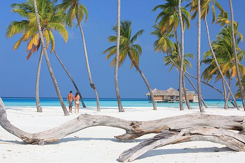 Maldives Low Season Getaway: Gili Lankanfushi