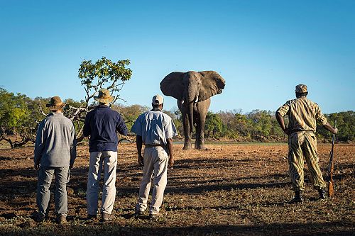 Africa Travel - Africa Safari Camps - Kapamba Bushcamp, Zambia