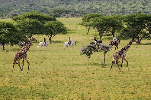 Luxury Kenya Vacation Packages - Horseback Riding Safari at Ol Donyo Lodge