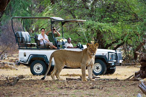 Classic Zimbabwe Safari Package - Little Makalolo Camp, Game Drives at Hwange National Park