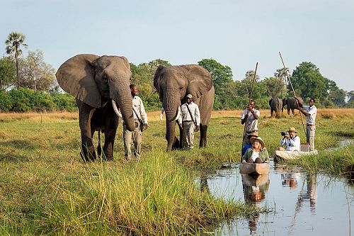 Okavango Delta Packages - Luxury Safari - Mokoro Safari and Walking with Elephants at Abu Camp