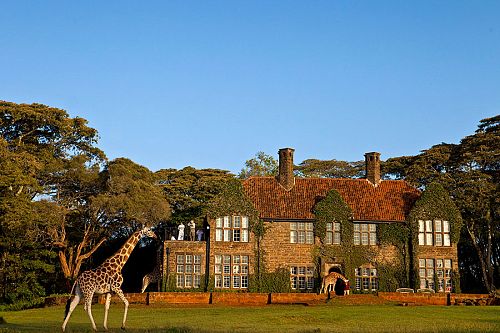 Romantic Kenya: Giraffe Manor and Masai Mara Safari