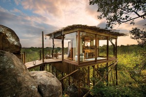 Tree House on Safari in South Africa