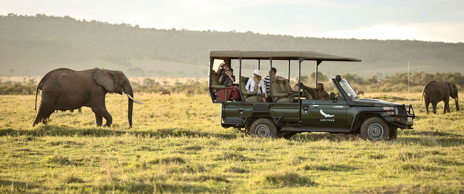 Elephant Seen on Safari in the Masai Mara Kenya