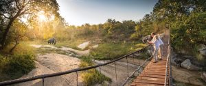 Dulini Lodge in Sabi Sands, South Africa