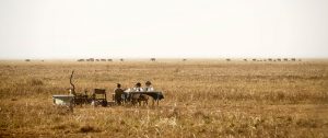 Tanzania Safari Getaway - Chada Katavi Luxury Bush Camp in Tanzania - African Big 5 Game Viewing