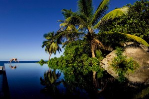 Seychelles Vacation - Ideas - Safari Combination - Travel Expert