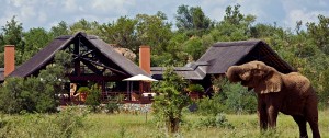 South Africa Family Vacation - South Africa - Family Travel - Wildlife - Encounters - Handcrafted - Vacation