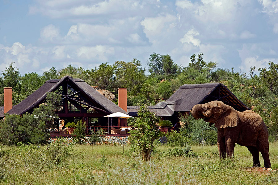 5 star safari africa