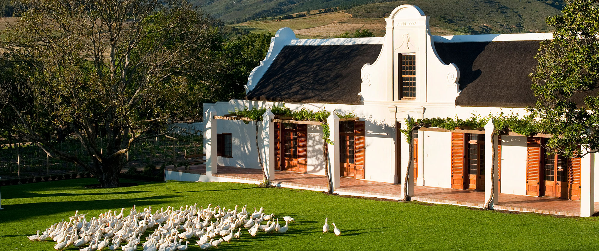 South Africa Gourmet Culinary Tour - South Africa - Western Cape