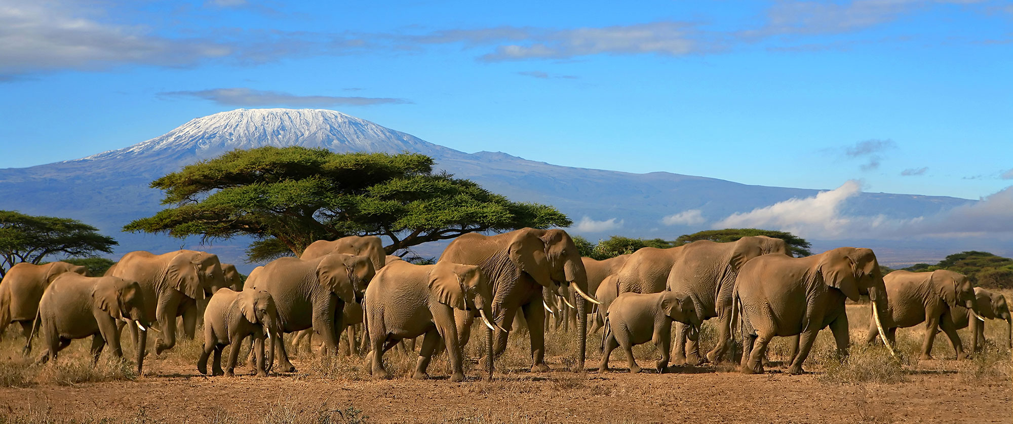 Western Tanzania - Tanzania - Safari