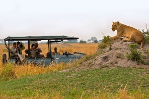 Botswana - Africa - Travel Specialist - Africa Travel - handcrafted