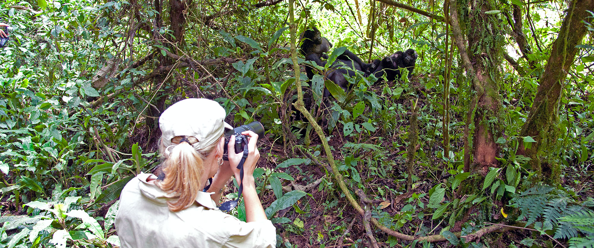Gorilla Trekking - Rwanda - Uganda - Africa - handcrafted - vacation