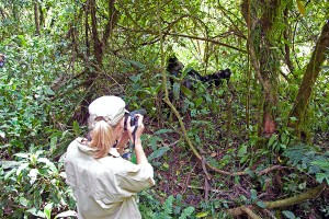 Gorilla Trekking - Rwanda - Uganda - Africa - handcrafted - vacation