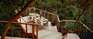 Ultimate Golf Package - Tsala Treetop Lodge