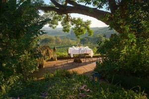 Luxury Tanzania Safari - Gibbs Farm