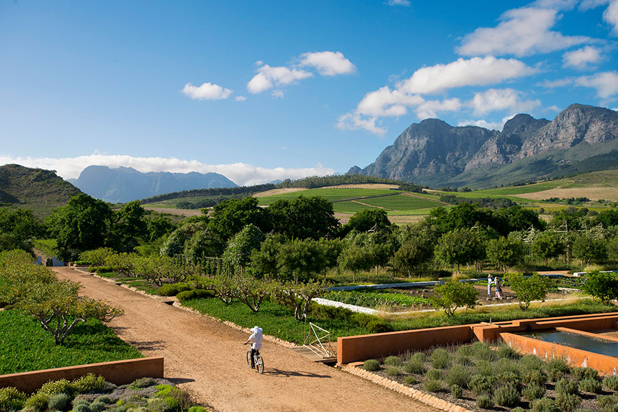 Best of South Africa: Safari, Cape Town, Winelands