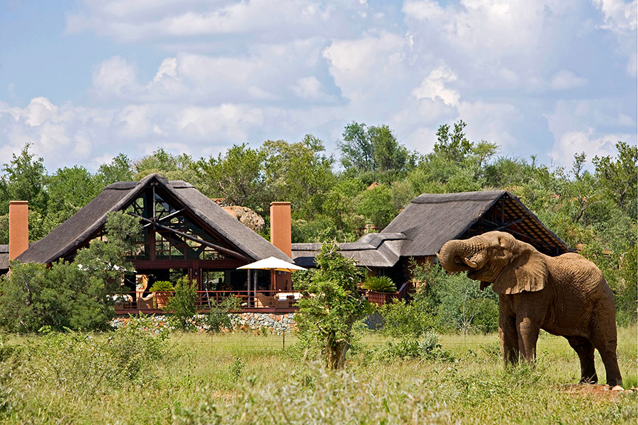 africa unique safaris