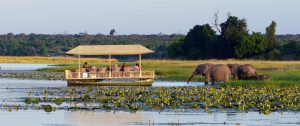 Luxury Botswana Safari - Chobe Game Lodge