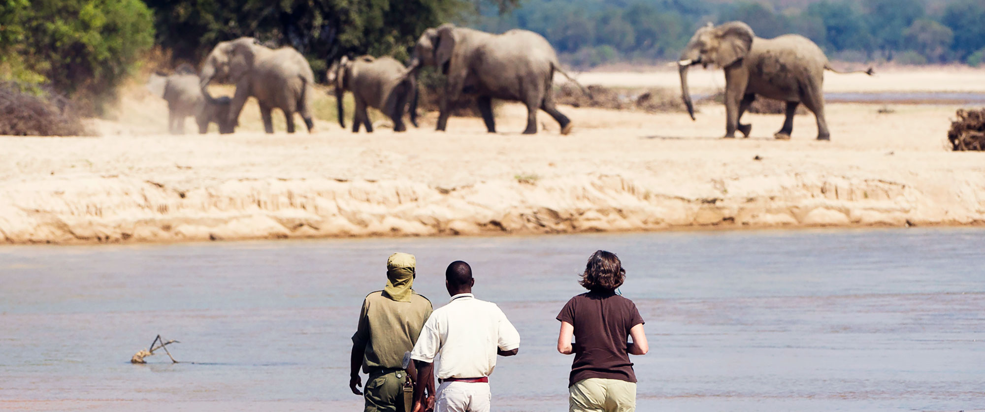 Zambia Safari - Remote Luxury Package - Kapamba Bushcamp